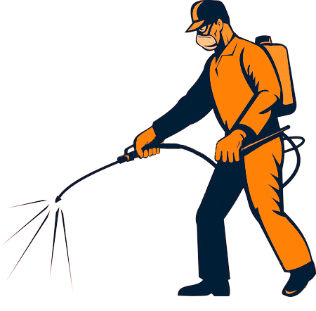 Pinnacle Pest Control: Rat control Roseville